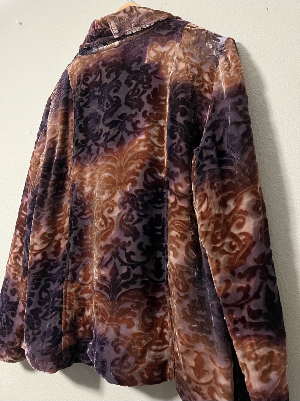Sundance Silk Blend Bronze Velvet Blazer Whimsy Goth Romantic Size 12 - Picture 5 of 7